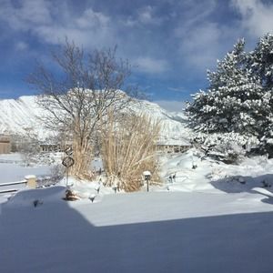 Meet your Posher, Gail